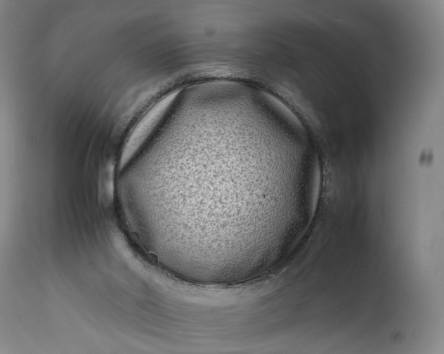 X0000111190014200907151400