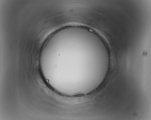 X0000111190015200907151400