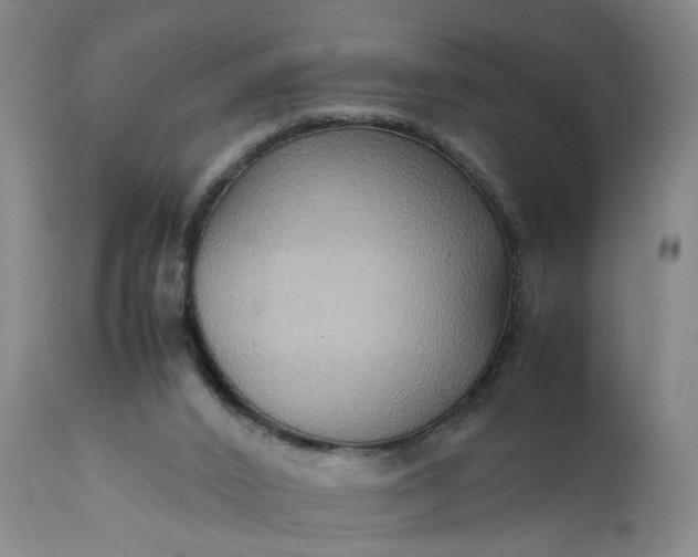 X0000111190016200907151400