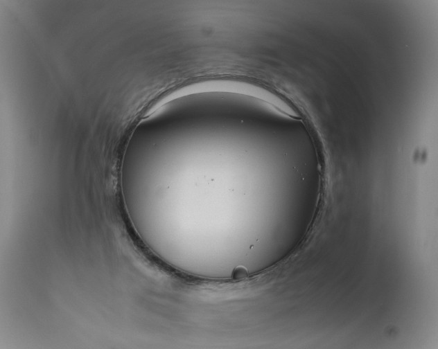 X0000111190017200907151400