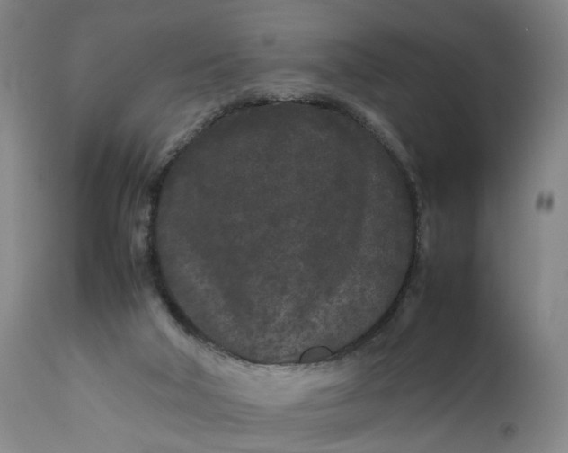 X0000111190018200907151400