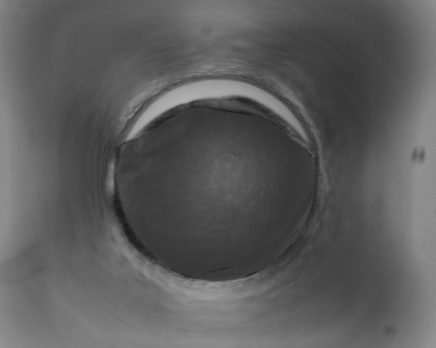 X0000111190019200907151400