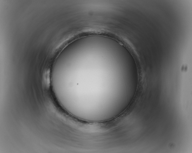 X0000111190020200907151400