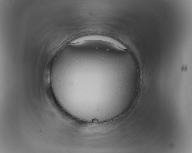 X0000111190021200907151400