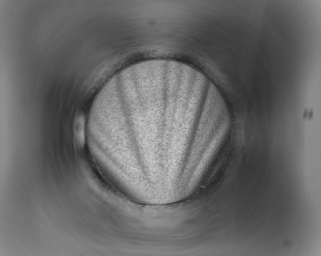 X0000111190022200907151400