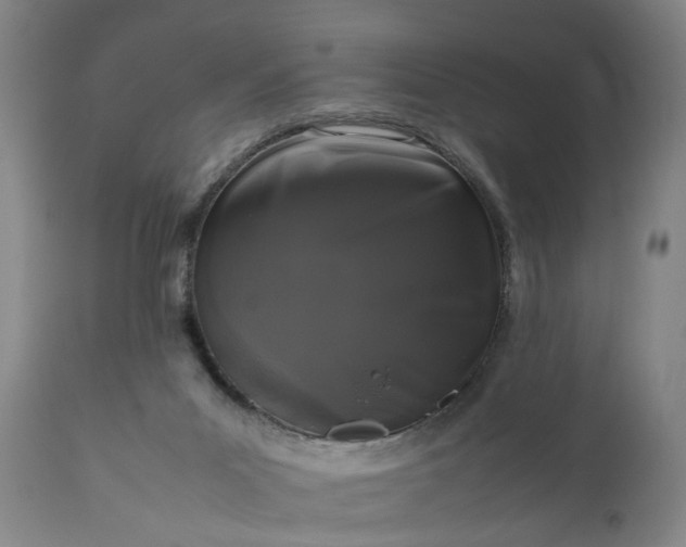 X0000111190023200907151400