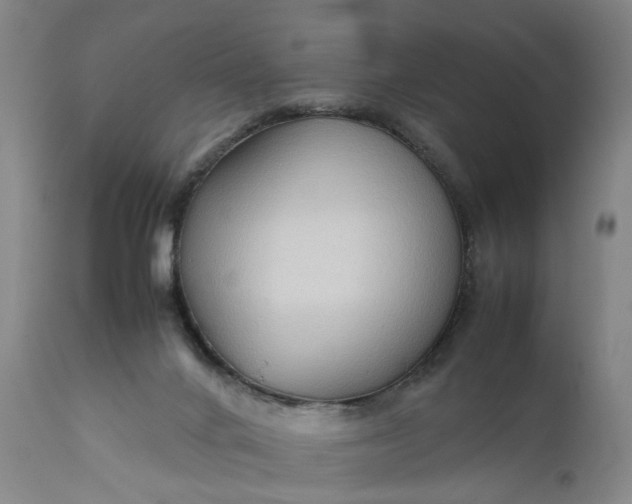 X0000111190024200907151400