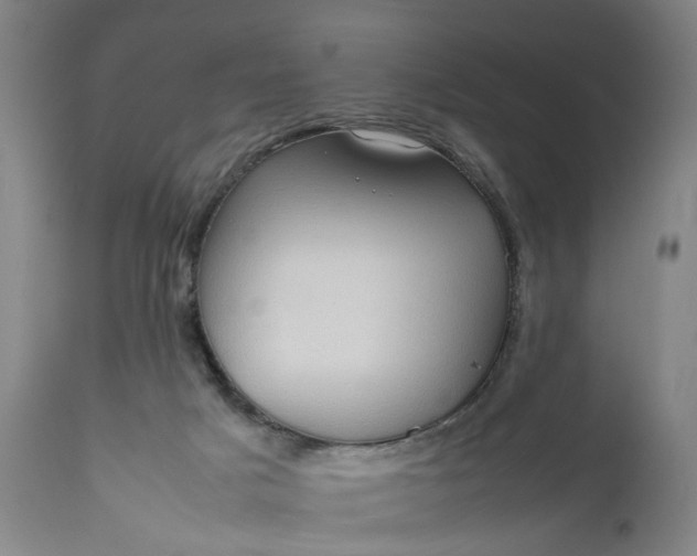 X0000111190025200907151400