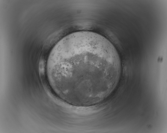 X0000111190026200907151400