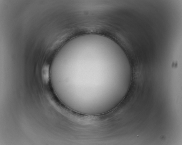 X0000111190028200907151400