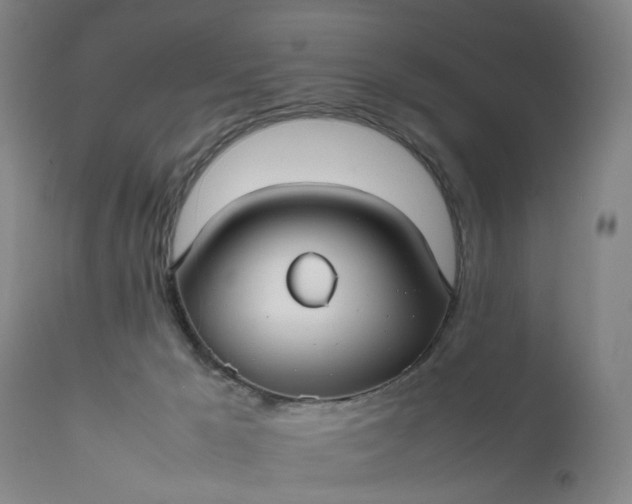 X0000111190029200907151400