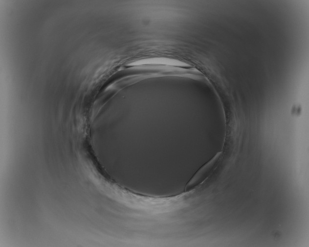 X0000111190031200907151400