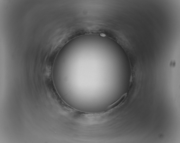 X0000111190033200907151400