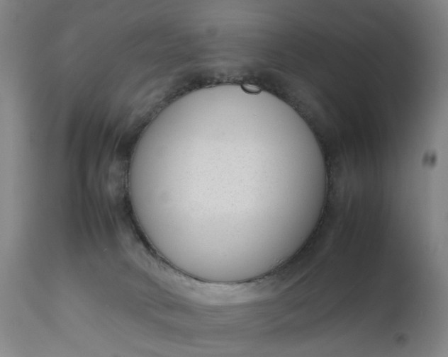 X0000111190034200907151400