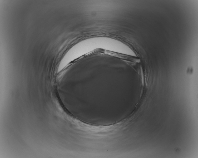 X0000111190035200907151400