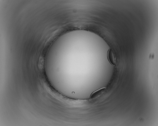 X0000111190036200907151400