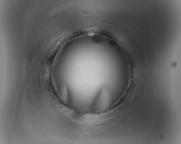 X0000111190037200907151359