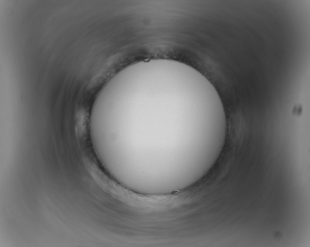 X0000111190038200907151359