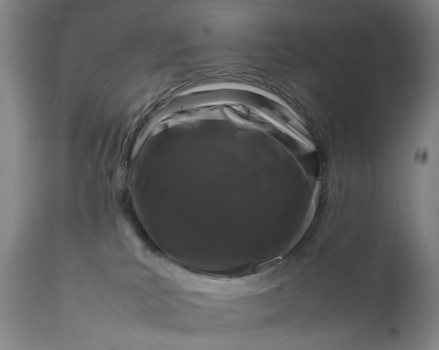 X0000111190039200907151359