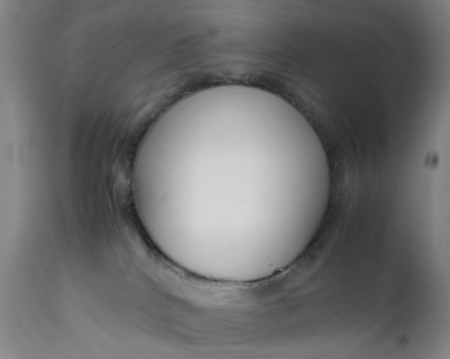 X0000111190040200907151359