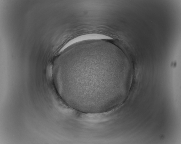 X0000111190041200907151359