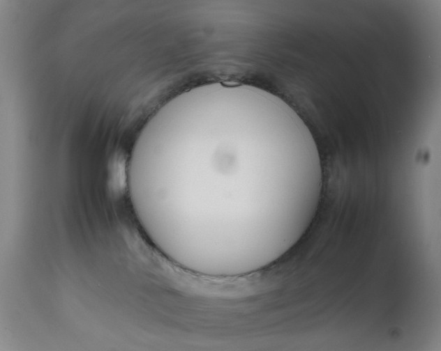 X0000111190042200907151359