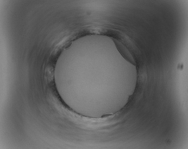 X0000111190043200907151359