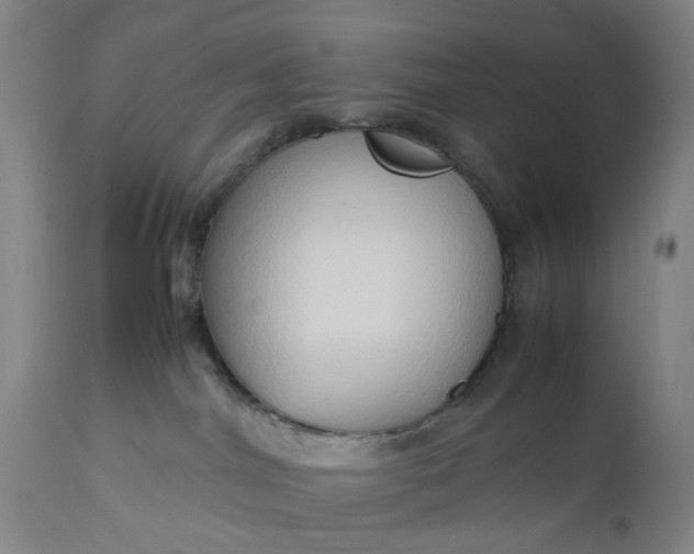 X0000111190044200907151359