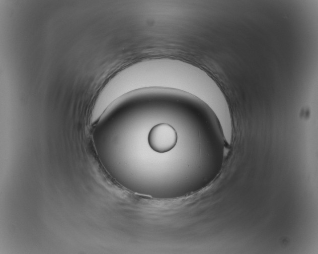 X0000111190045200907151359