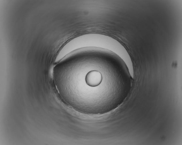 X0000111190047200907151359