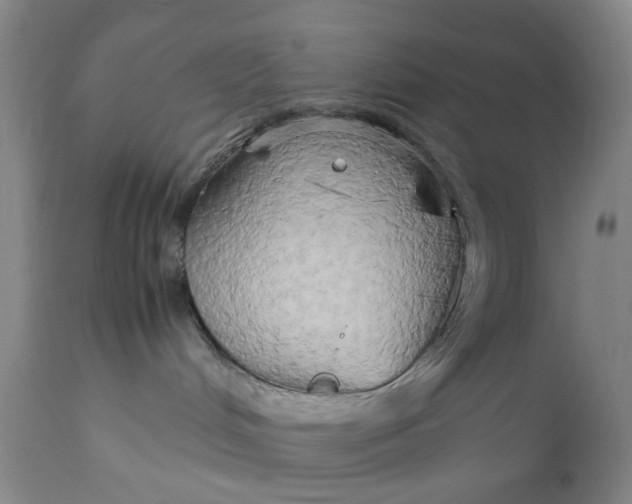 X0000111190048200907151359