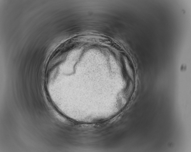 X0000111190049200907151359