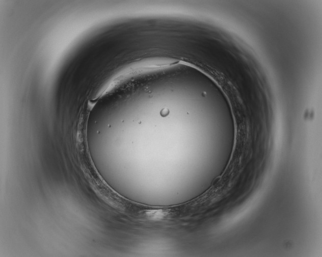 X0000111190050200907151359