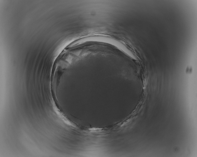 X0000111190052200907151359