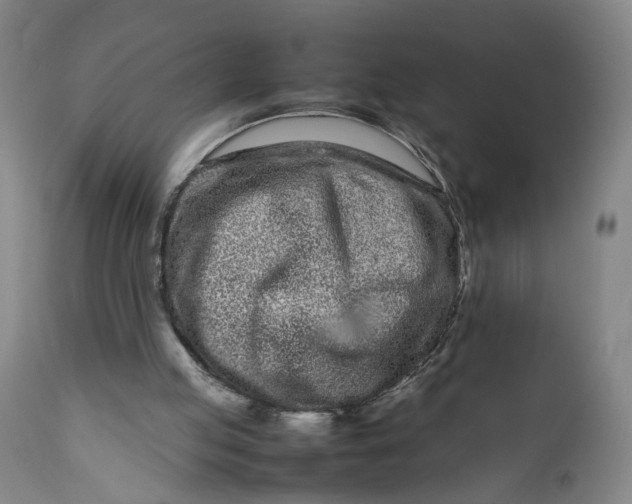 X0000111190053200907151359