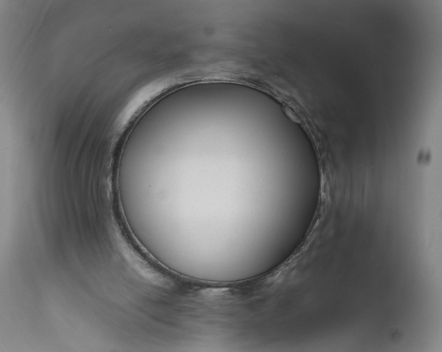 X0000111190054200907151359