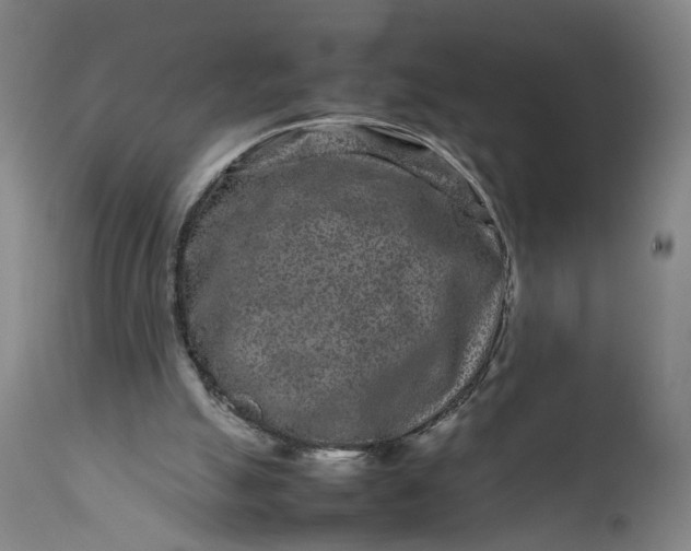 X0000111190055200907151359