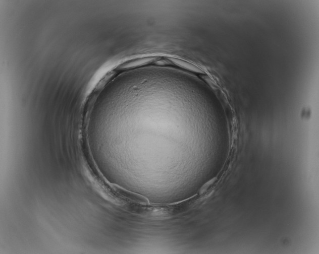 X0000111190056200907151359