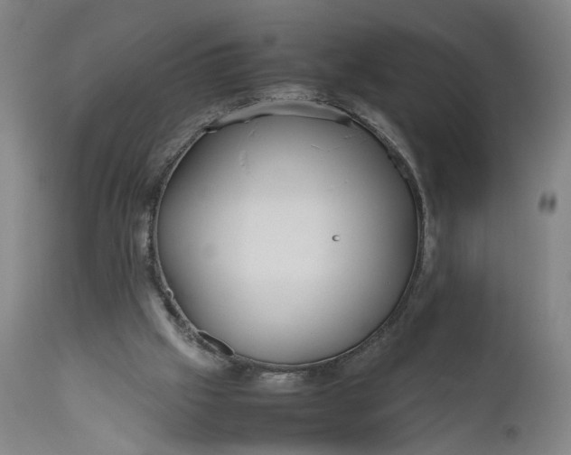 X0000111190057200907151359