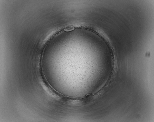 X0000111190058200907151359