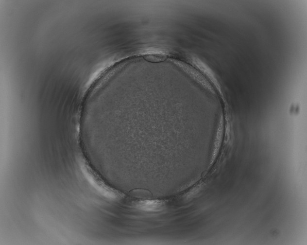 X0000111190059200907151359