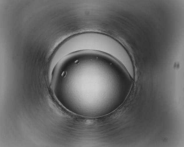 X0000111190060200907151359