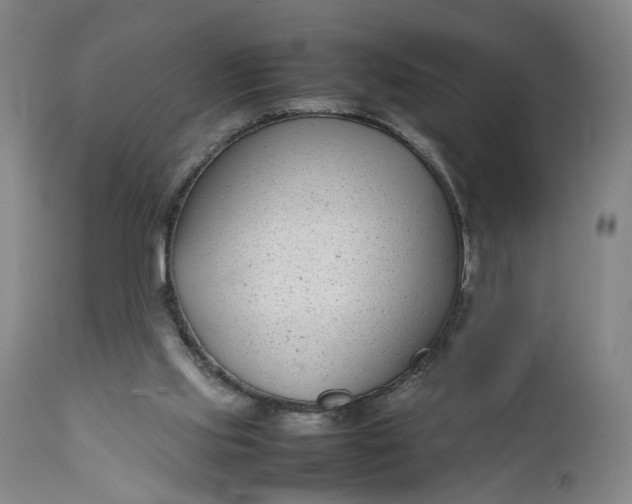 X0000111190061200907151359