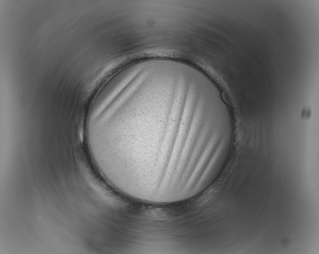 X0000111190062200907151359