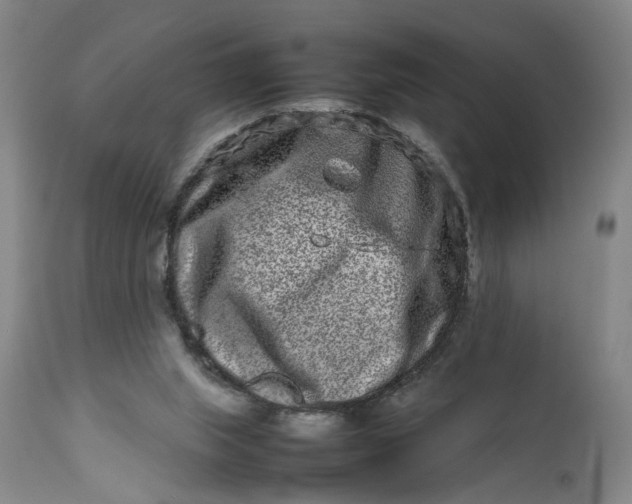 X0000111190063200907151359