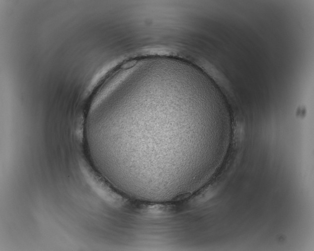 X0000111190064200907151359