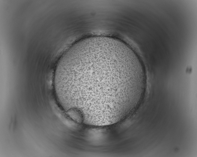 X0000111190065200907151359