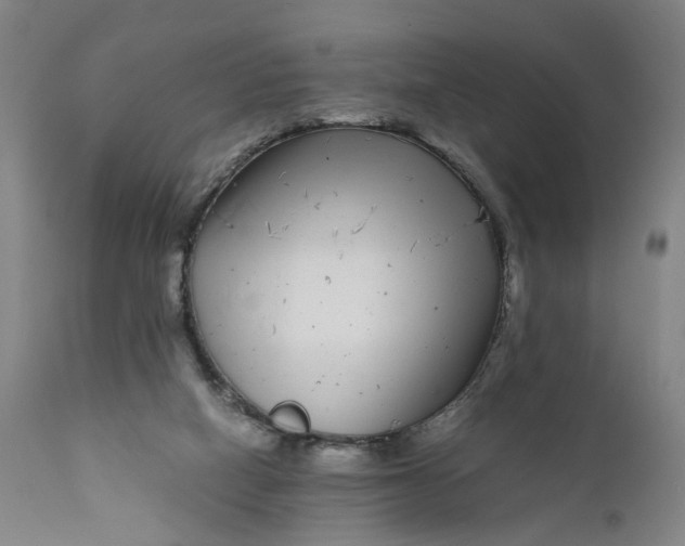 X0000111190066200907151359