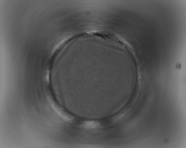 X0000111190067200907151359