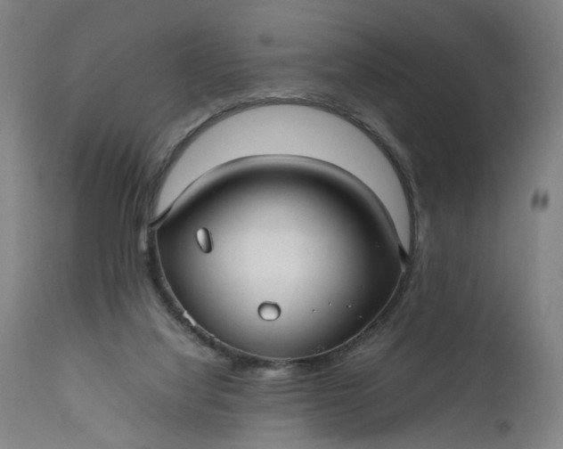 X0000111190068200907151359